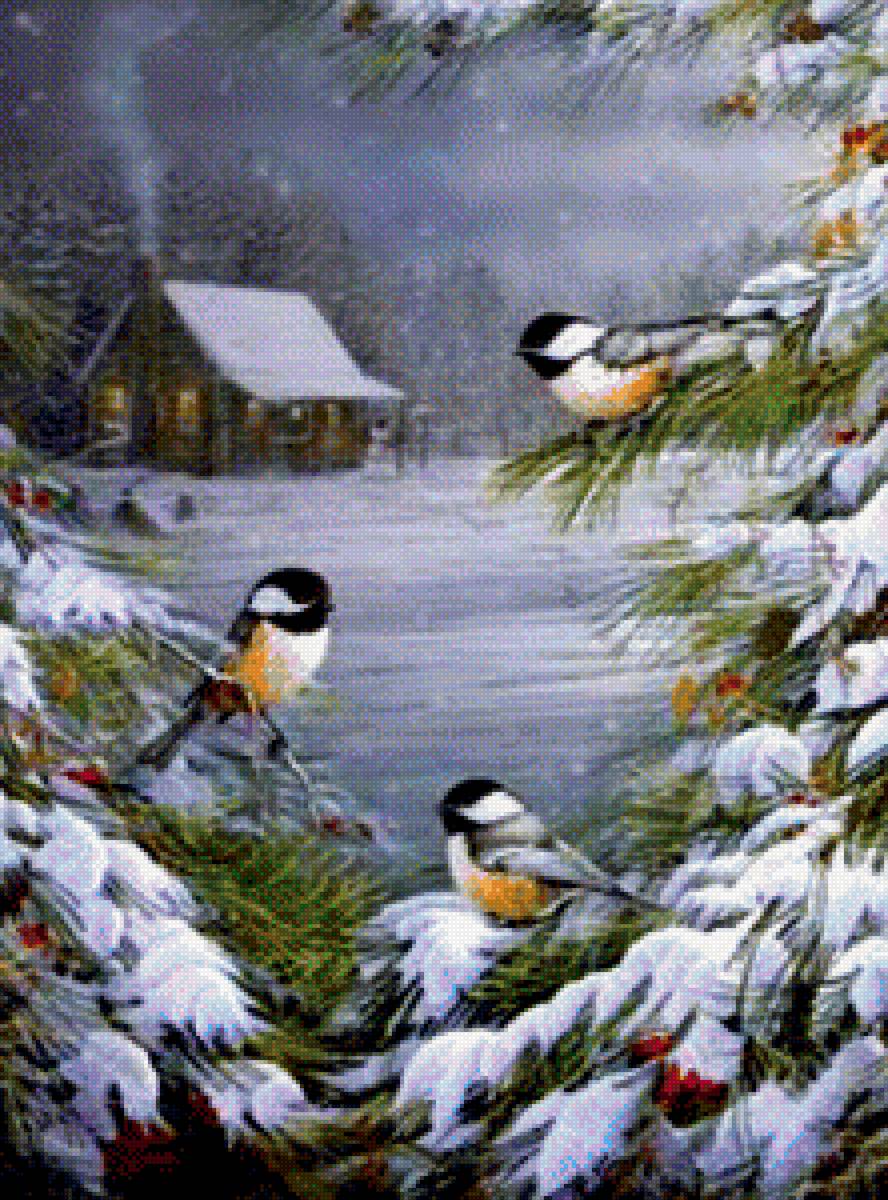 Синички - птицы - предпросмотр