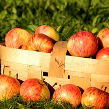 Оригинал схемы вышивки «№1407136»