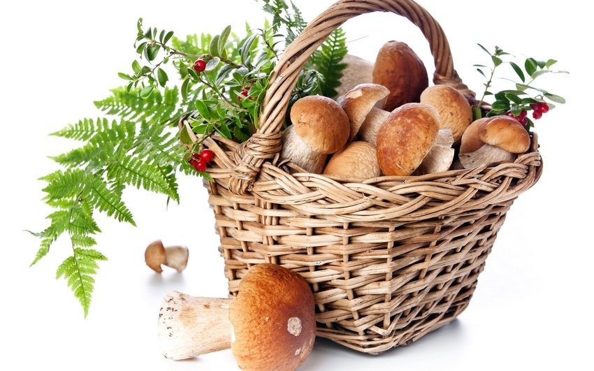 №1407157 - оригинал