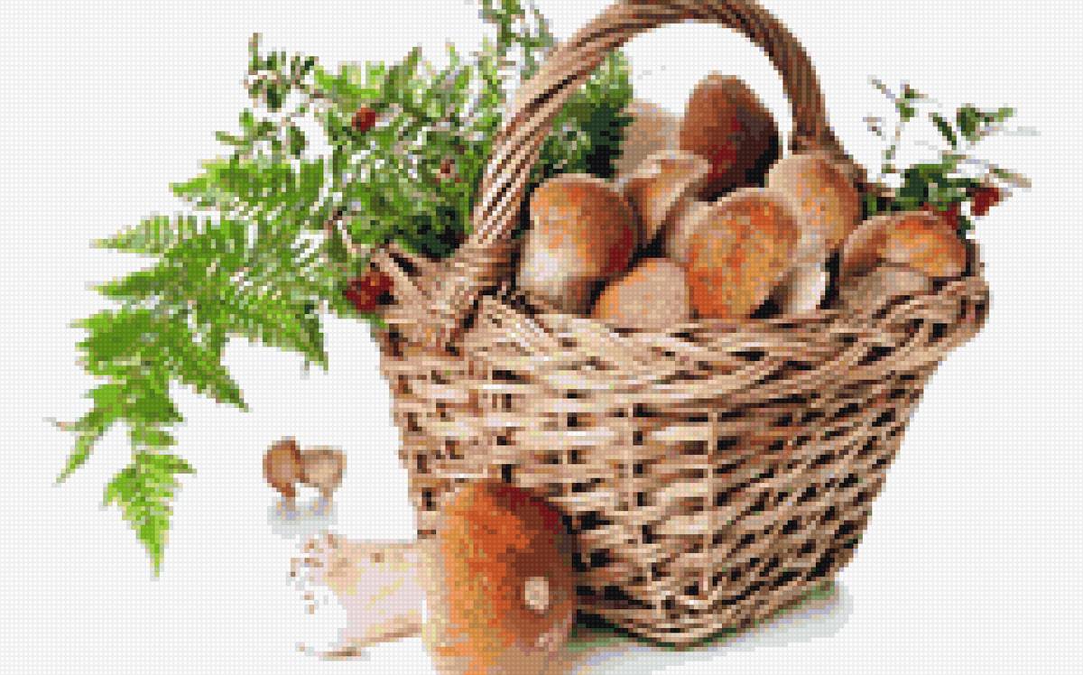 №1407157 - предпросмотр