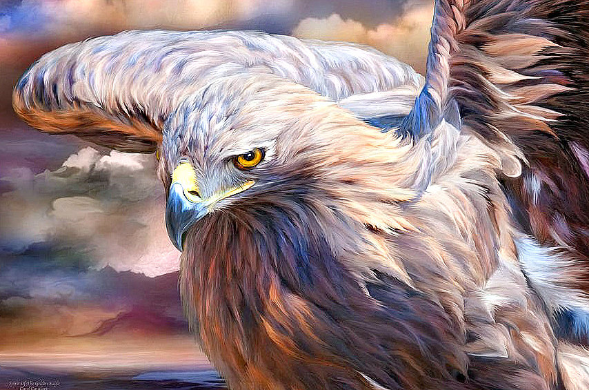 взмах крыла - орел. птица - оригинал