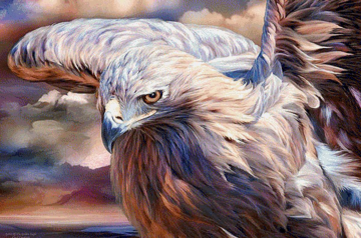 взмах крыла - орел. птица - предпросмотр