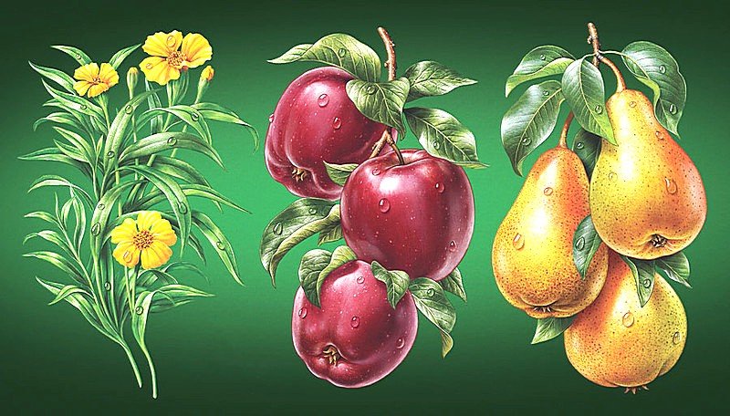 691 - оригинал