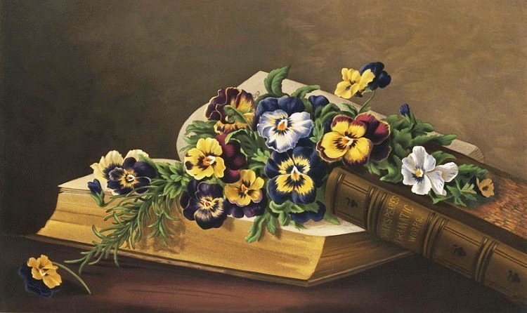 Композиция с книгой - книга, анютиные глазки, цветы - оригинал