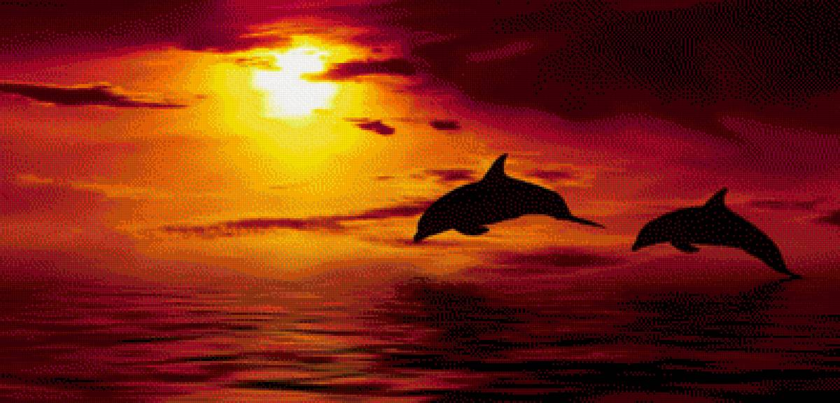 На закате - дельфины, закат, море - предпросмотр