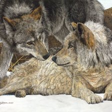 Оригинал схемы вышивки «пара волков» (№1409192)