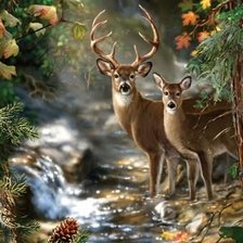 Схема вышивки «Олени у реки»