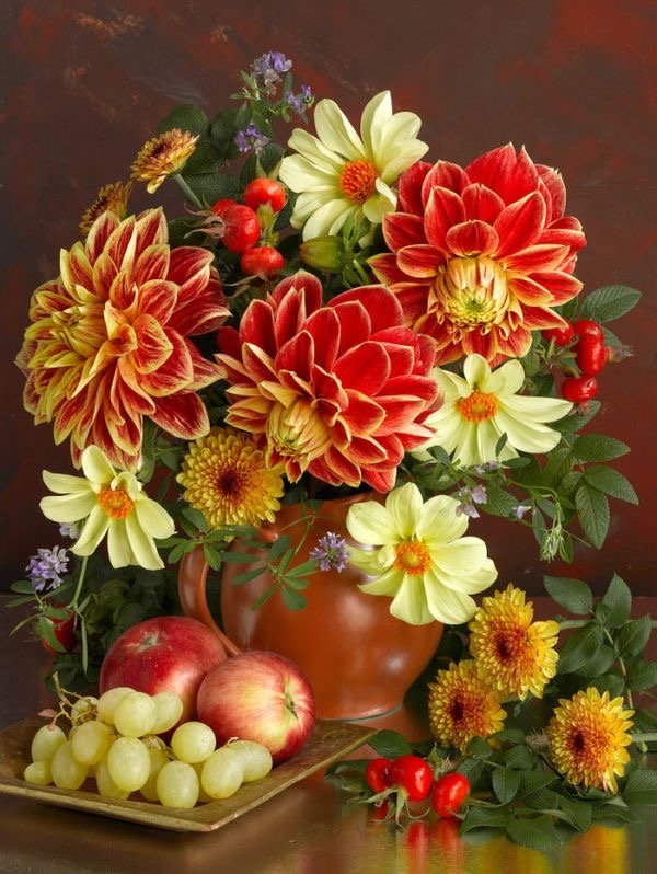 Quynh - hoa - оригинал