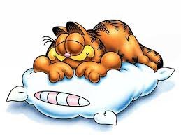 Сладкий сон - животные кошки подушка - оригинал