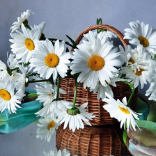 Схема вышивки «№1411447»