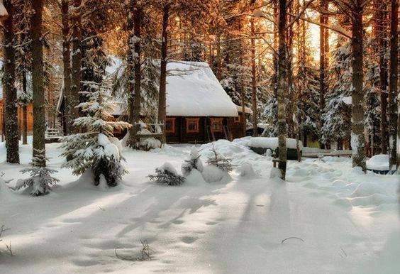 в сказочном лесу - лес, природа, зима, пейзаж, деревня - оригинал