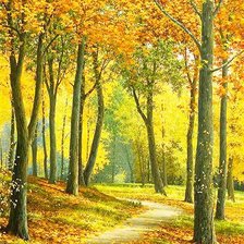 осенняя тропа