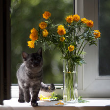 Схема вышивки «Италмас»