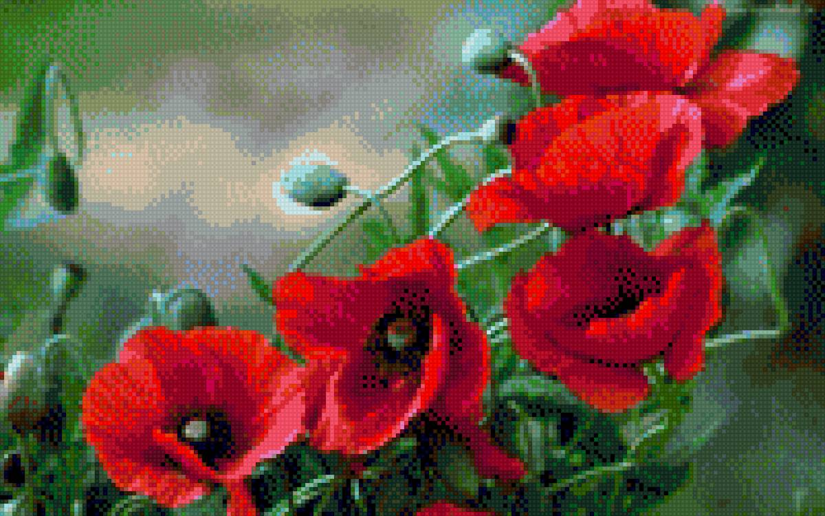 маки - маки - предпросмотр