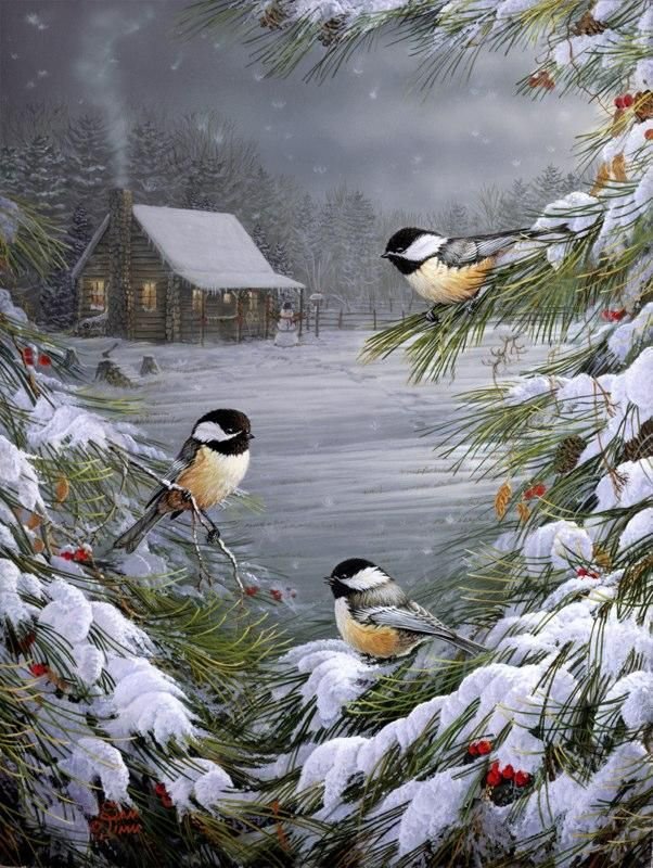 зимняя сказка - пейзаж, синицы, птицы, зима, деревня - оригинал