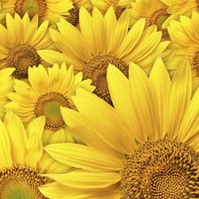 Схема вышивки «подушка»