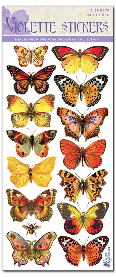 бабочки - оригинал