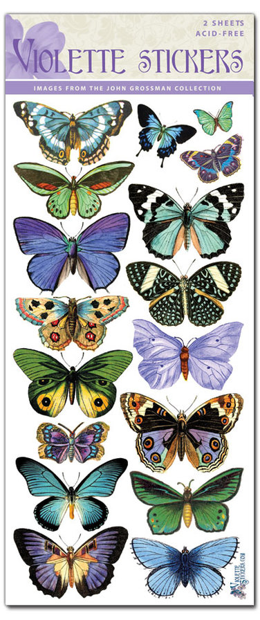 бабочки - оригинал