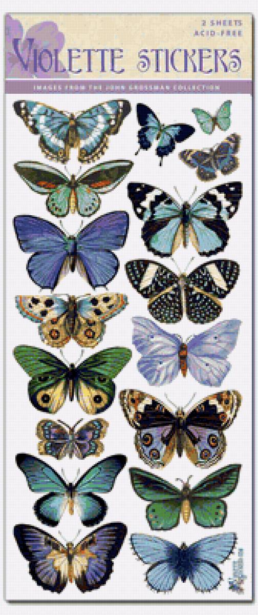 бабочки - предпросмотр