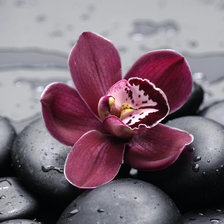 Оригинал схемы вышивки «подушка» (№1414654)