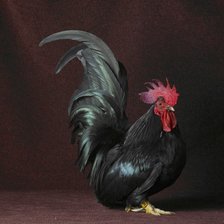 Схема вышивки «Клевый год 4»