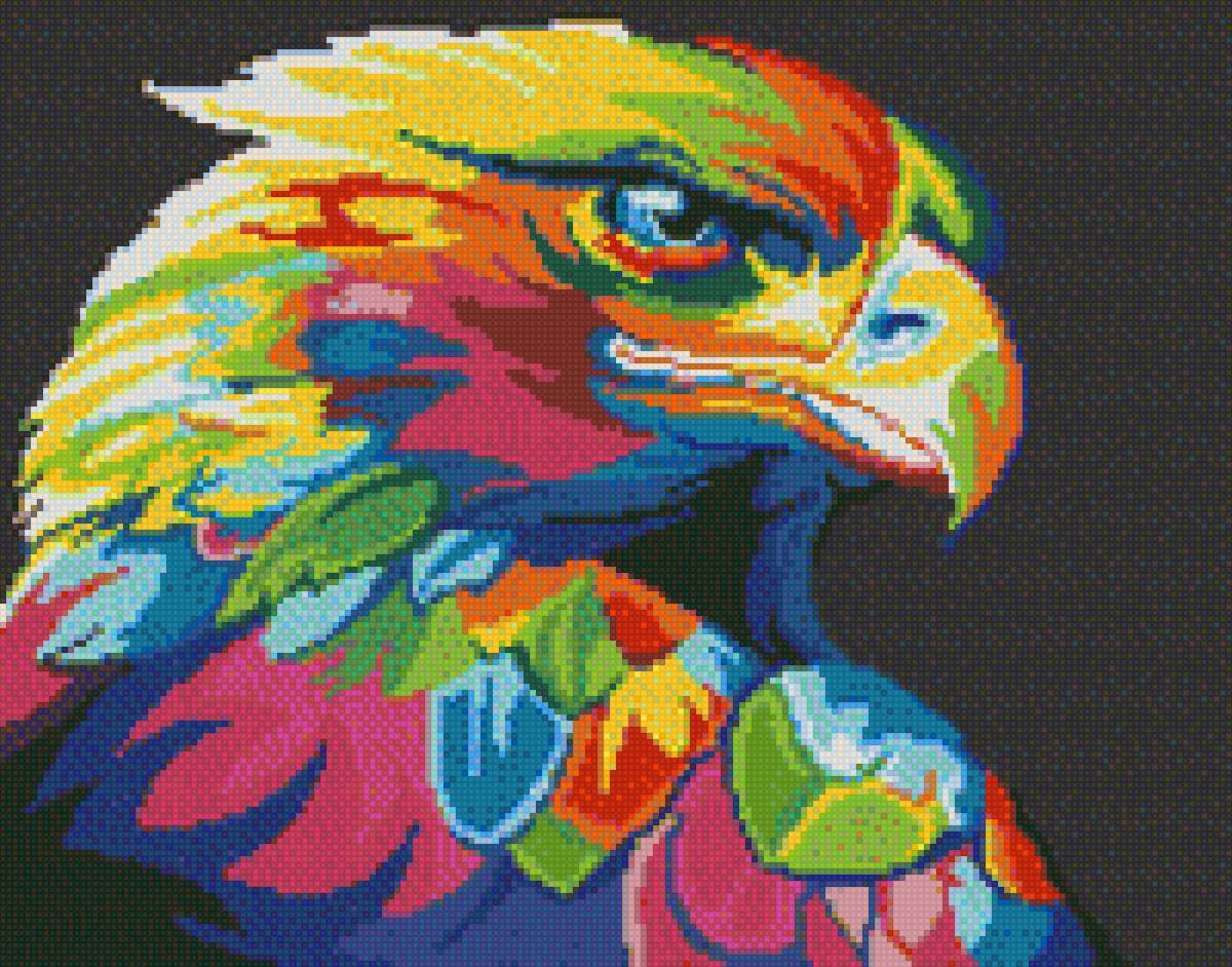 tęczowy orzeł - предпросмотр