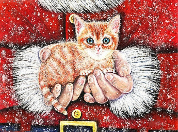 рождественский котик - коты, животные - оригинал