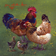 Оригинал схемы вышивки «Куриное семейство» (№1415514)