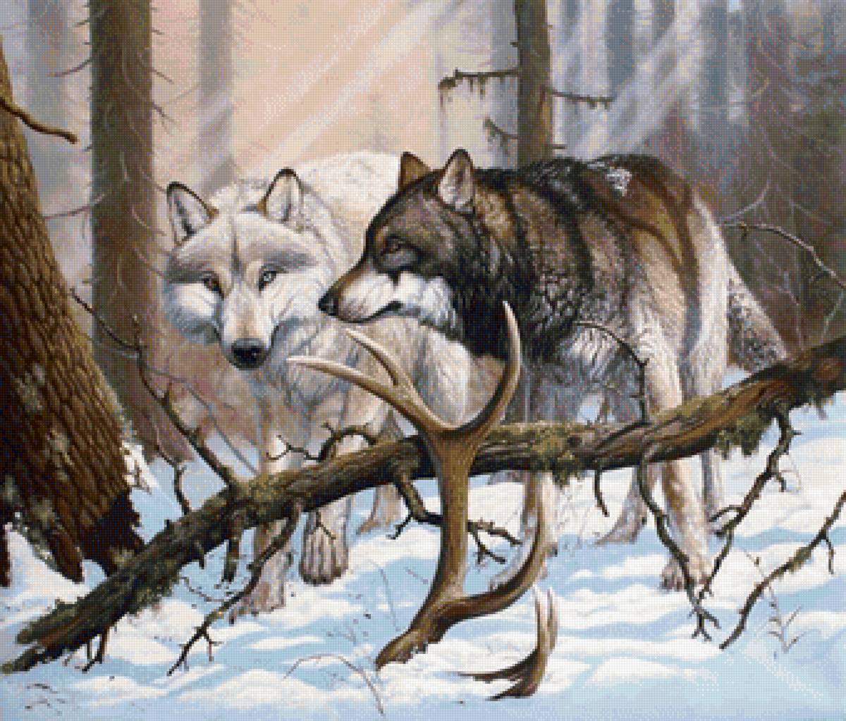 Худ. Роберто Бьянчи - волки, пейзаж, природа, лес, животные - предпросмотр