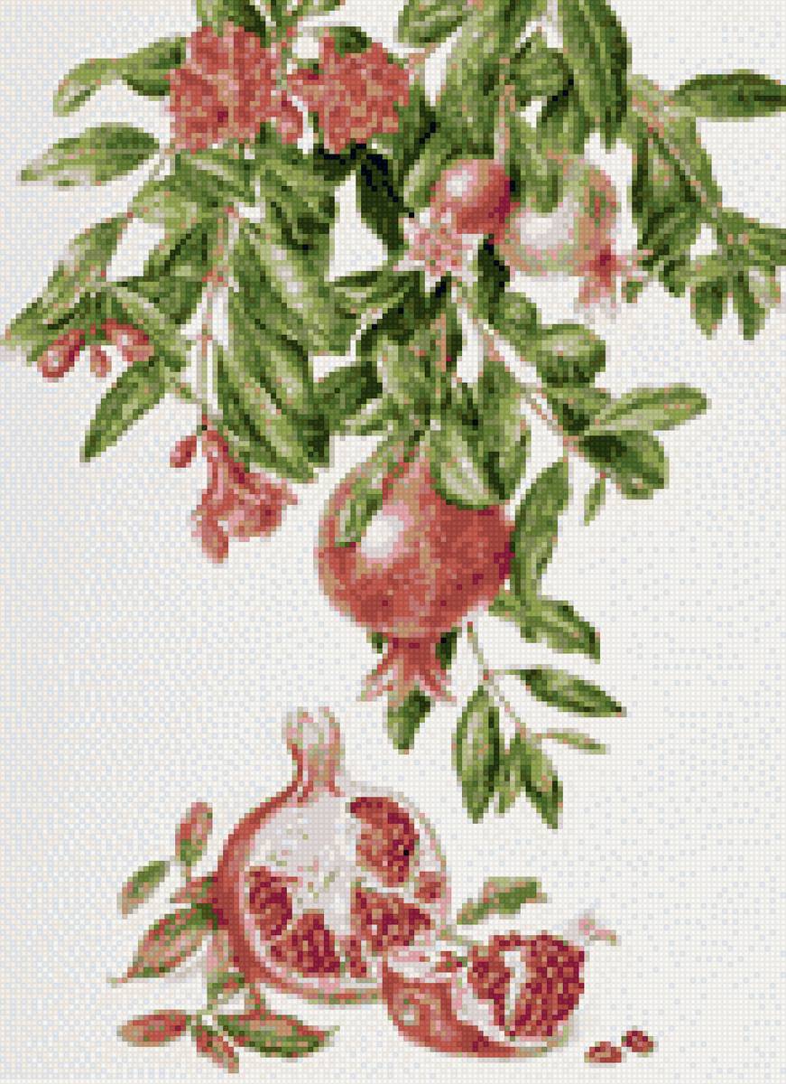 Гранатовое счастье - гранат, фрукты - предпросмотр