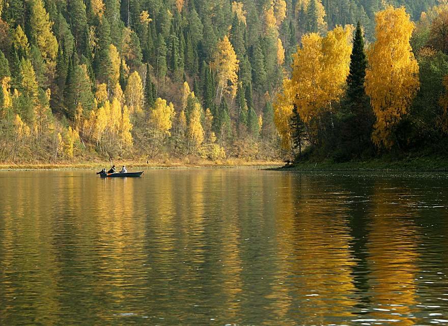 чистый воздух - лес.река.горы.осенний пейзаж - оригинал