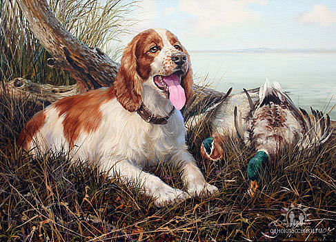 №1416631 - оригинал