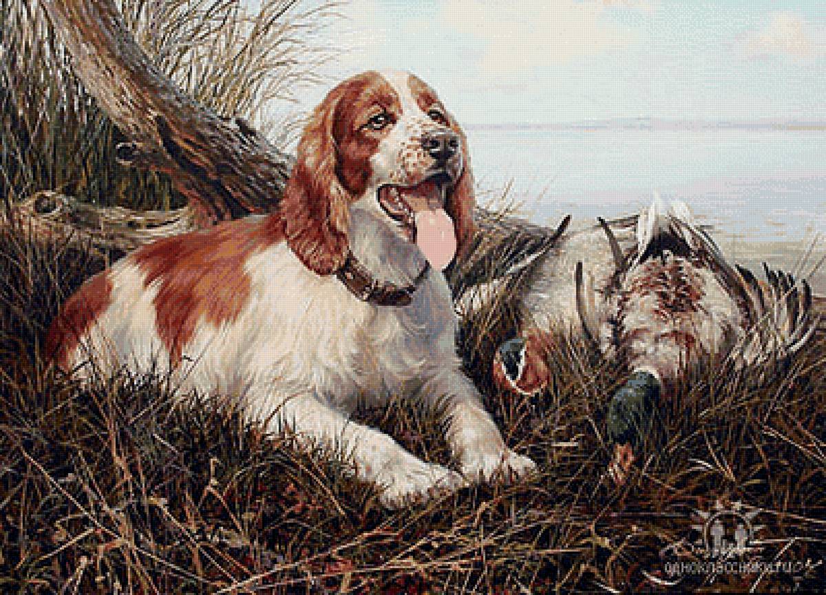 №1416631 - предпросмотр