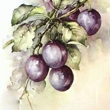 Схема вышивки «№1416684»