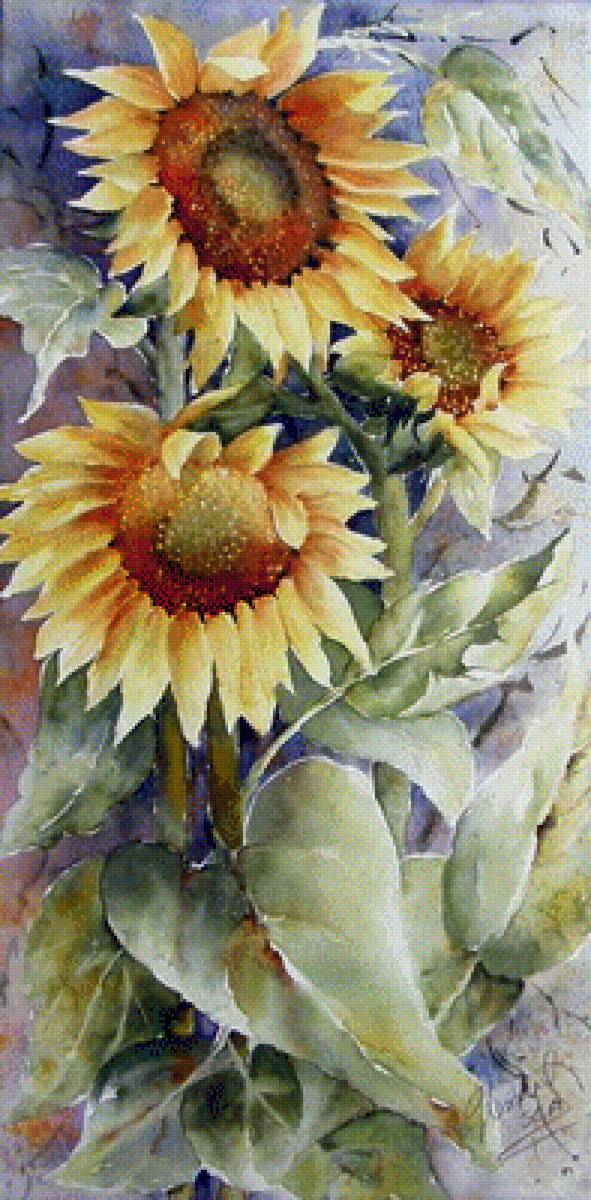 №1416689 - предпросмотр