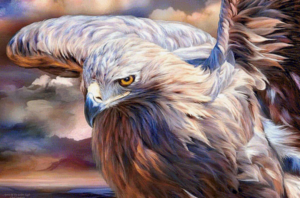 Орел - хищник, орел, птица - предпросмотр