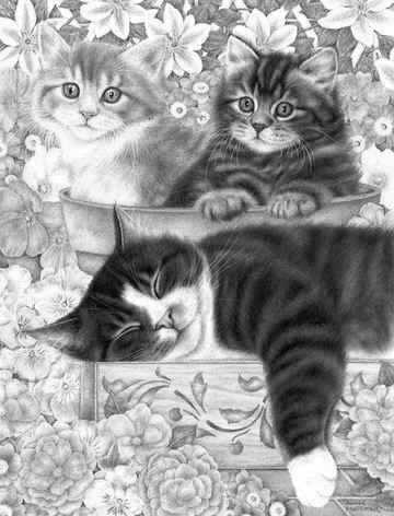 №1417454 - mèo - оригинал