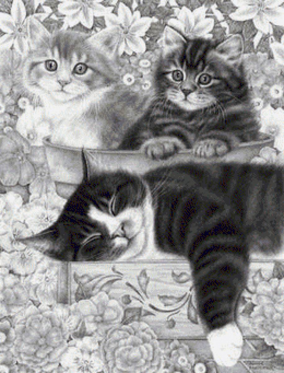 №1417454 - mèo - предпросмотр