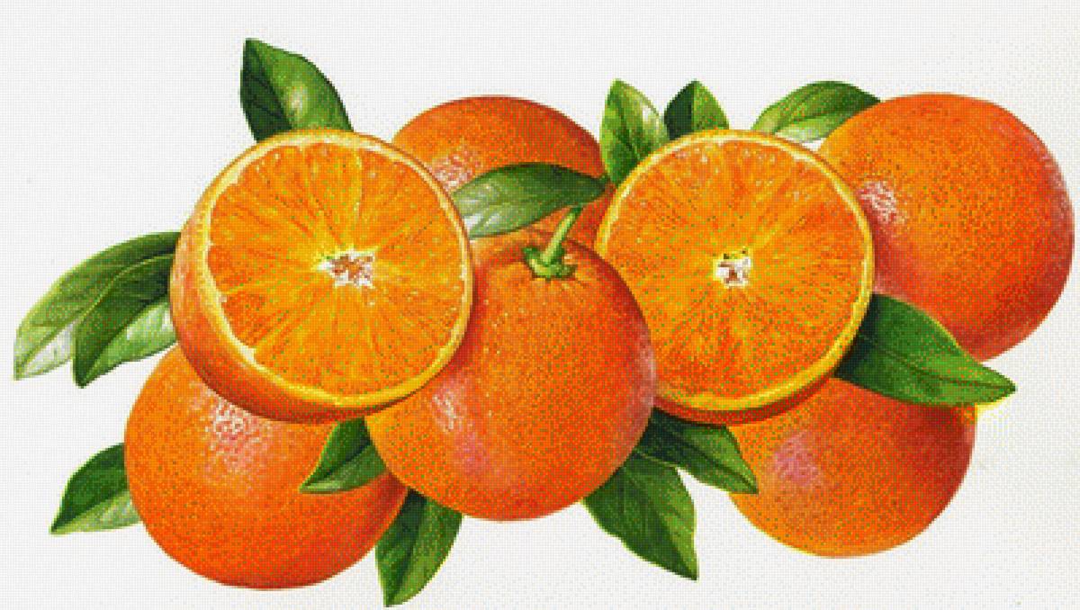Мандарин схема. Апельсин иллюстрация. Апельсин на белом фоне. Апельсин на прозрачном фоне. Мандарин на белом фоне.