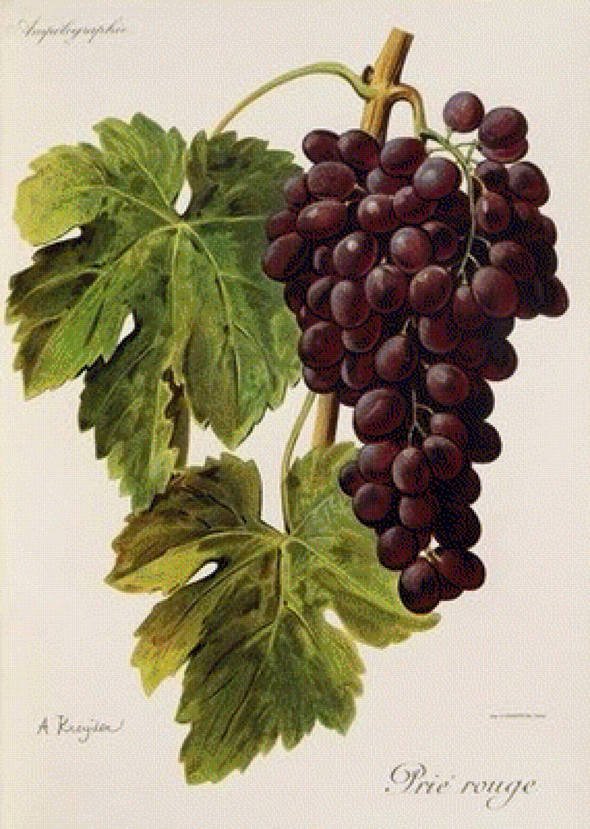 №1418628 - предпросмотр