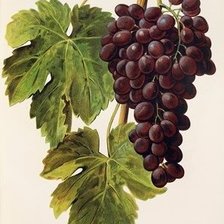 Схема вышивки «№1418628»