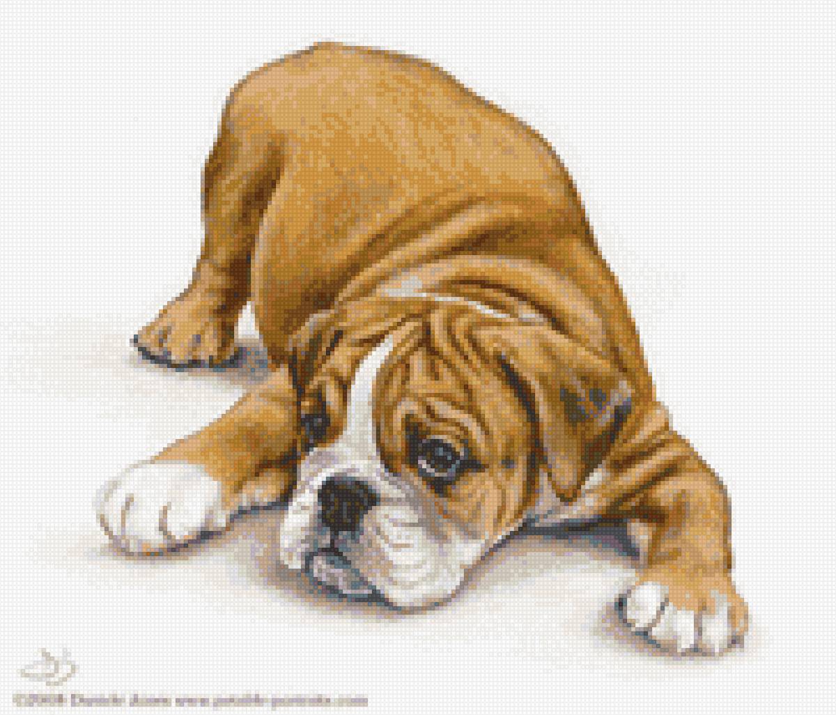 №1418701 - предпросмотр