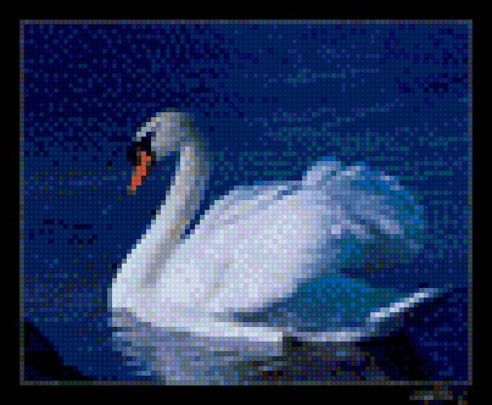 лебед - животни, лебеди - предпросмотр