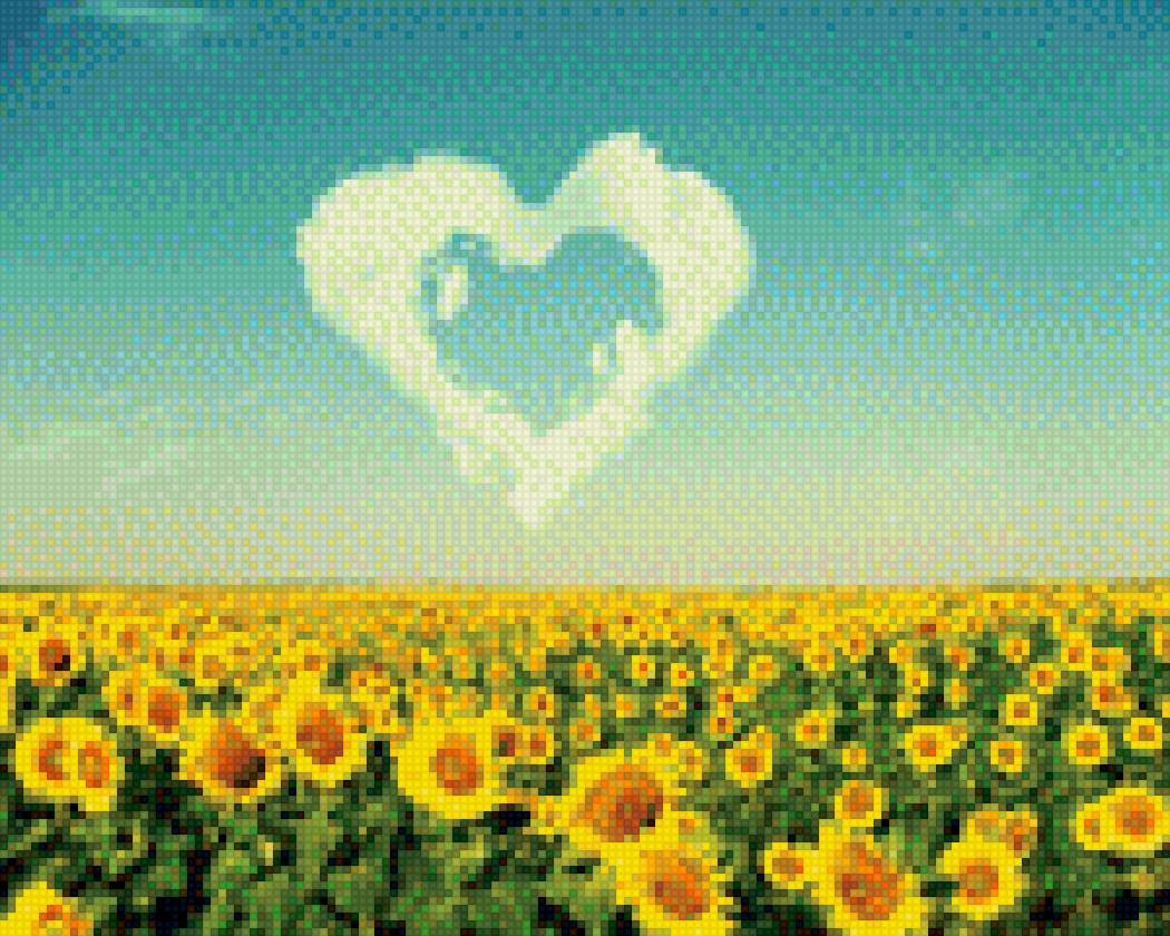 поле подсолнухов - подсолнухи, сердце, поле, лето - предпросмотр