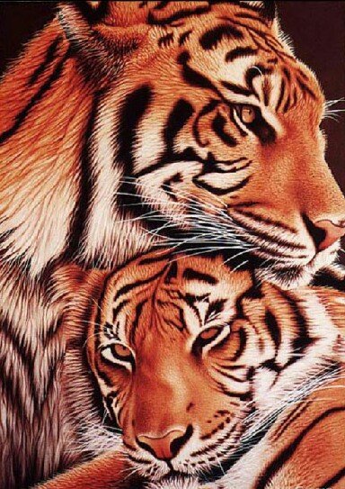 №1419348 - оригинал