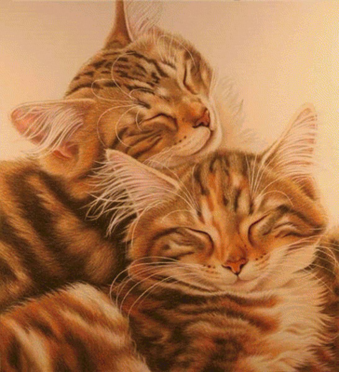 кошки - предпросмотр