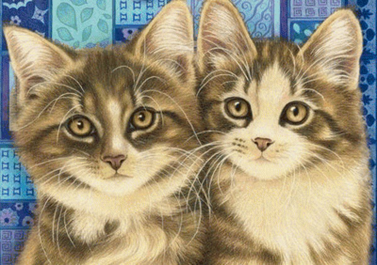 котята - предпросмотр