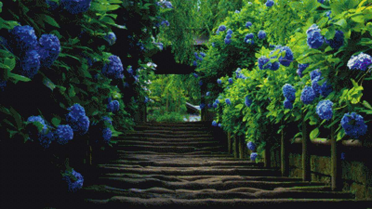 аллея) - предпросмотр