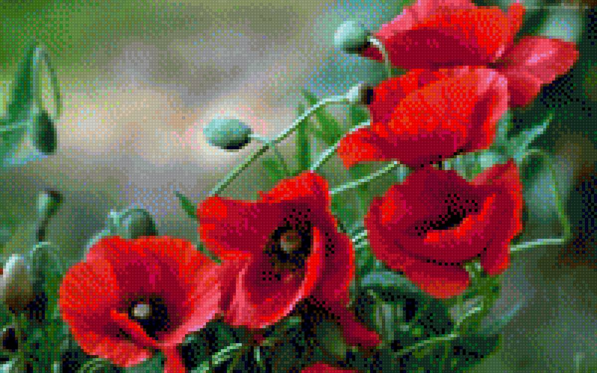 маки - акки - предпросмотр