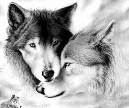 Пара волков - верность, волки - оригинал